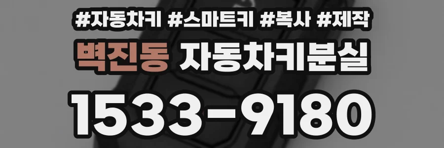 벽진동 자동차키분실
