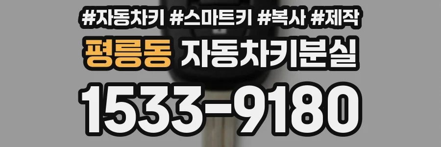 평릉동 자동차키분실