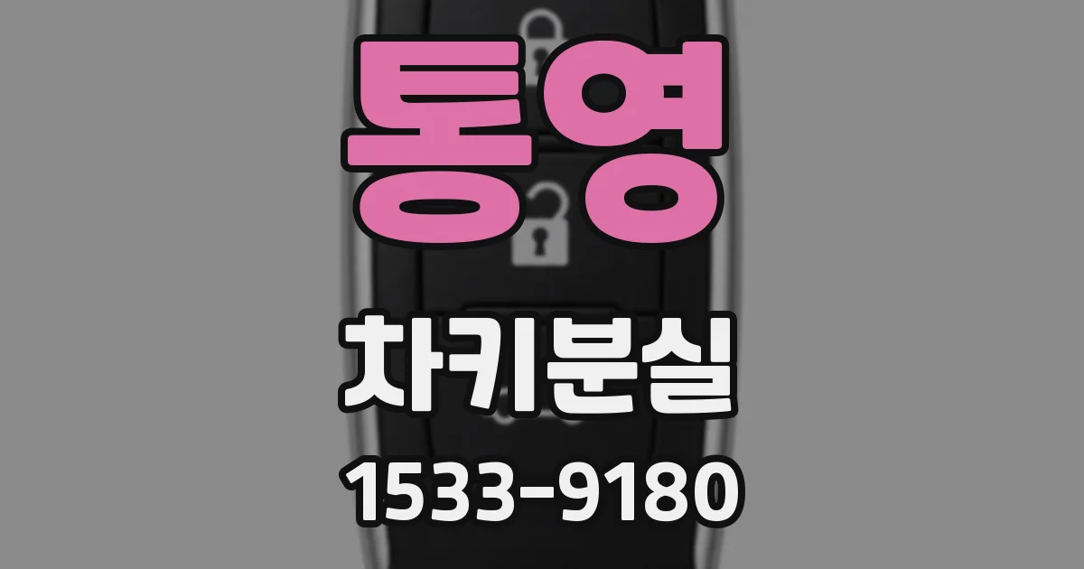 통영 차키분실