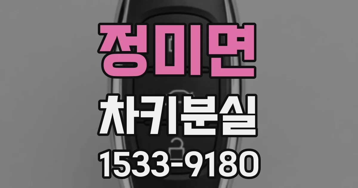 정미면 차키분실