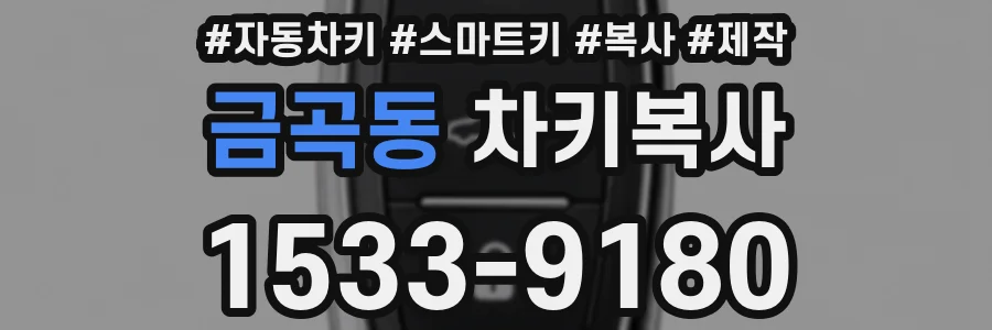 금곡동 차키복사