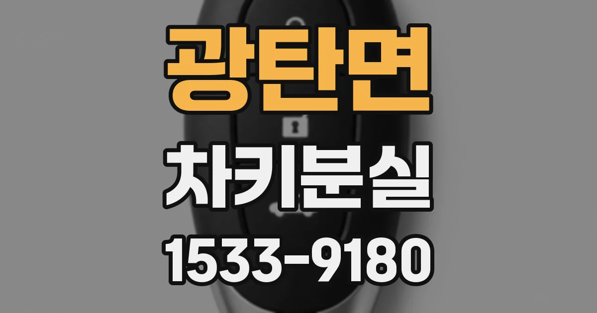 광탄면 차키분실