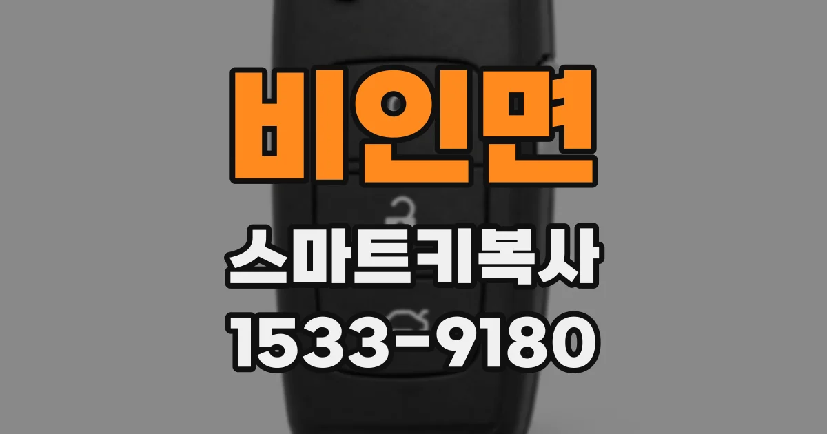 비인면 스마트키복사