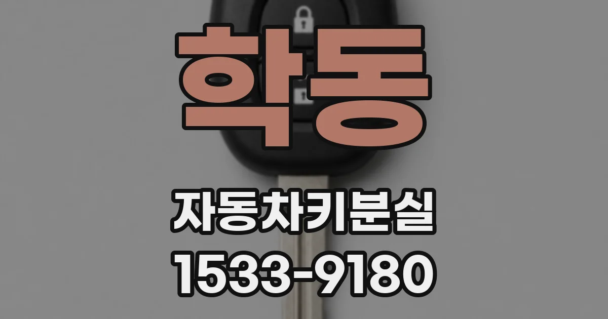 학동 자동차키분실