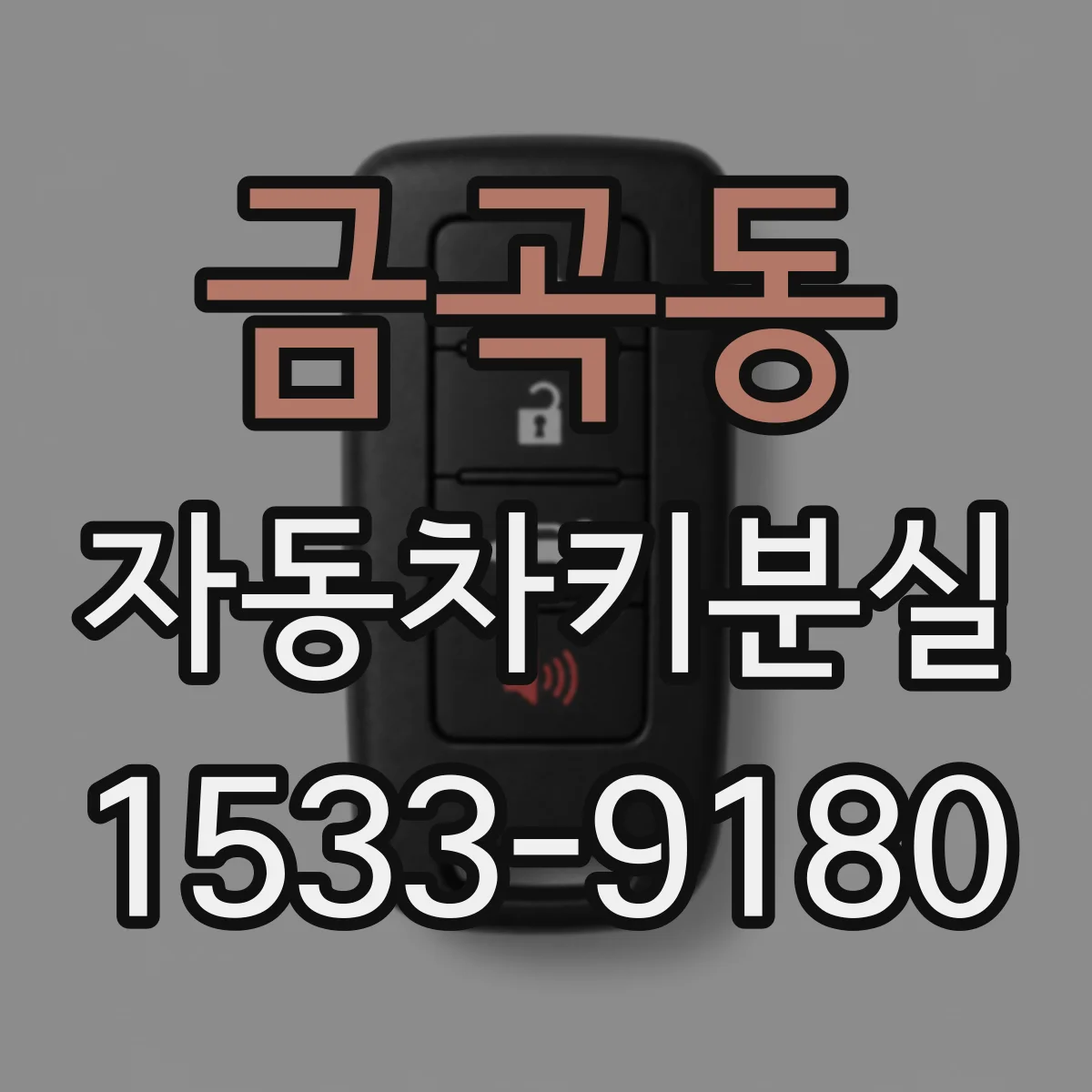 금곡동 자동차키분실