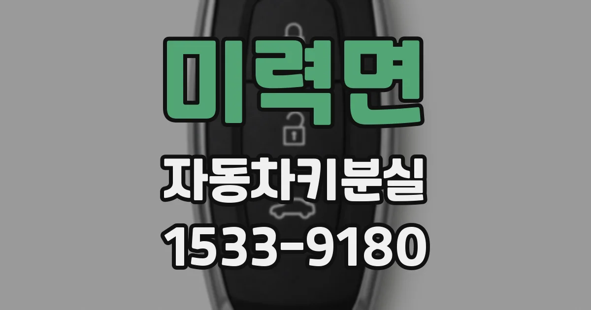 미력면 자동차키분실