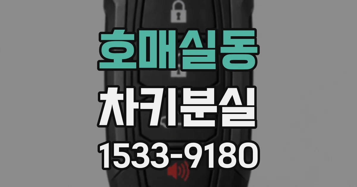 호매실동 차키분실