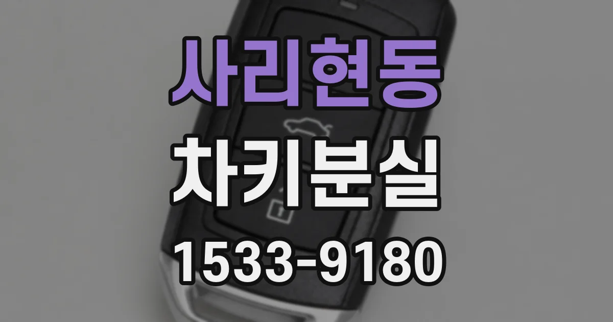사리현동 차키분실