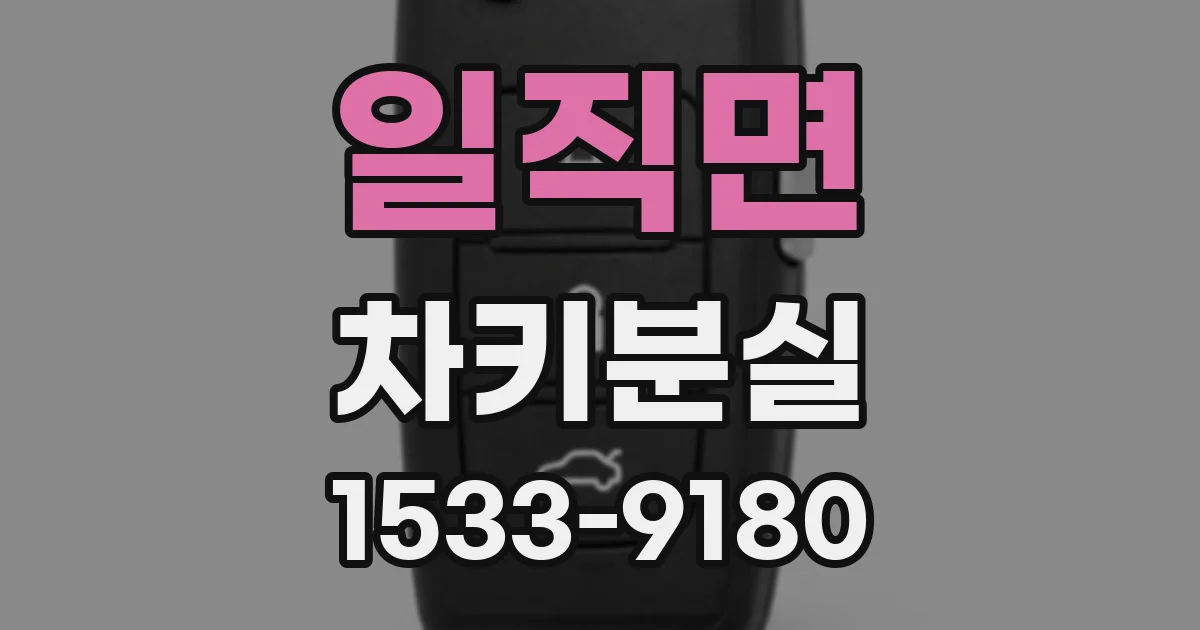 일직면 차키분실