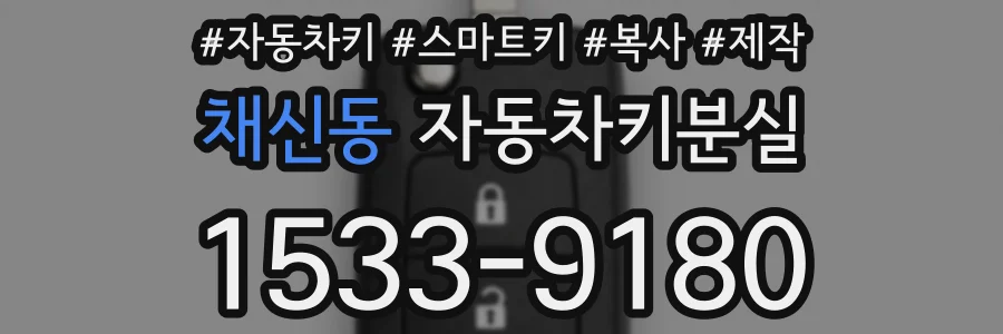 채신동 자동차키분실