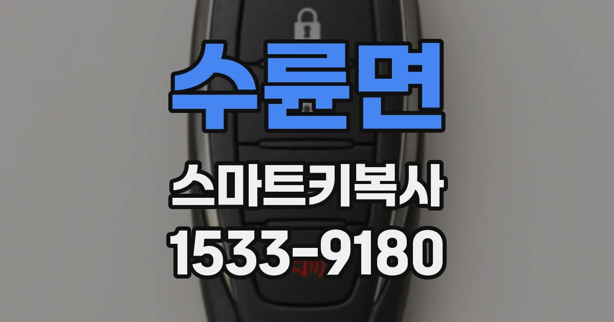 수륜면 스마트키복사