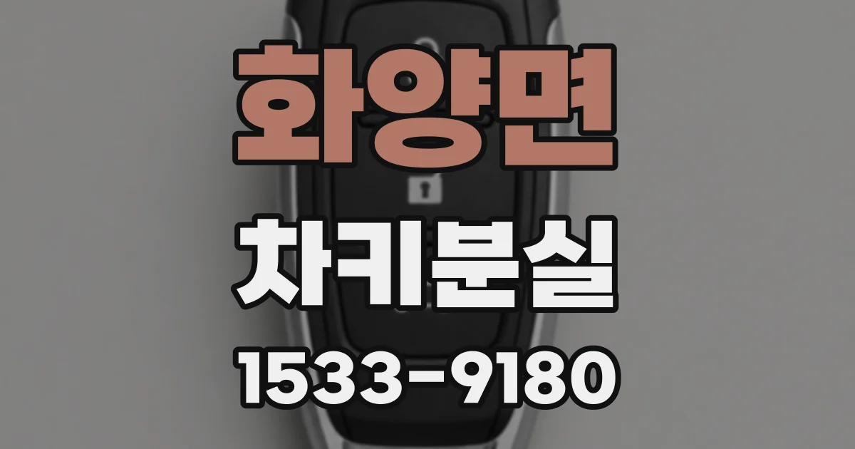 화양면 차키분실