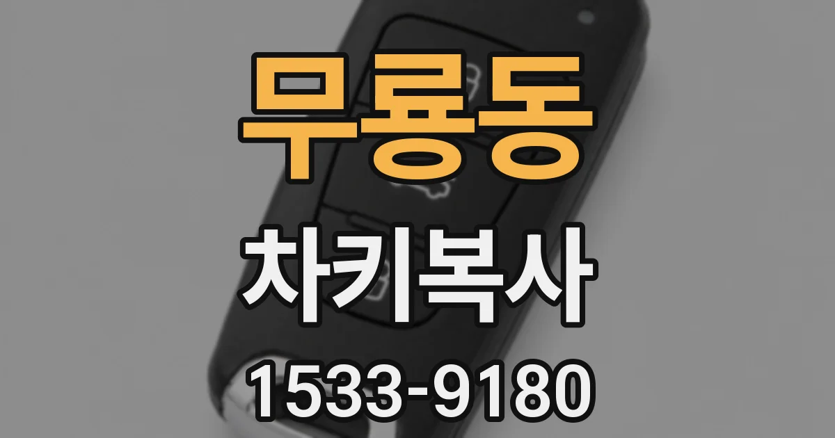 무룡동 차키복사