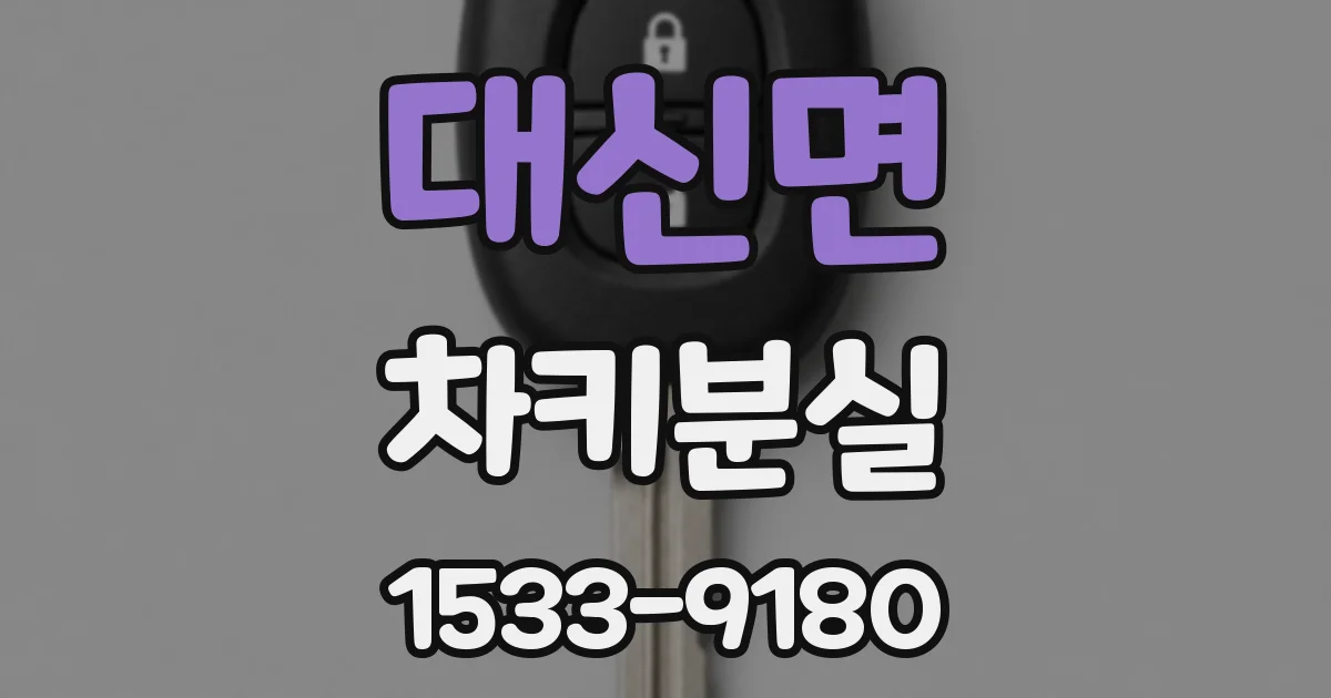 대신면 차키분실