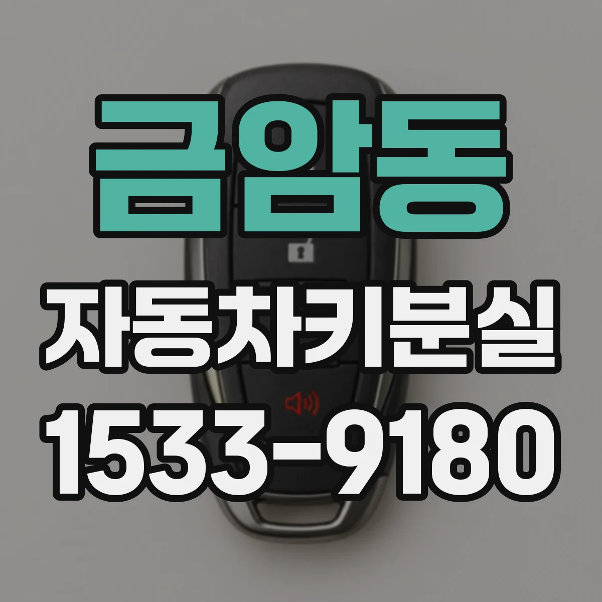 금암동 자동차키분실