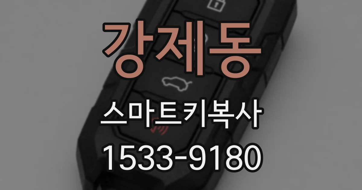 강제동 스마트키복사