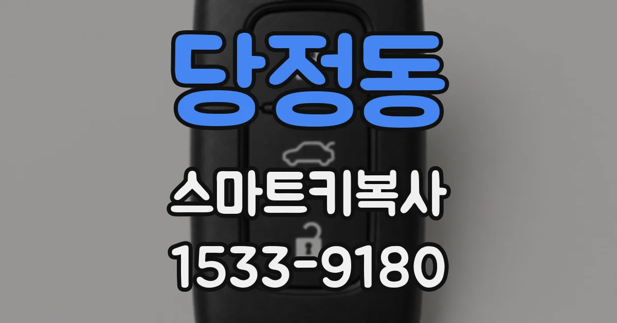 당정동 스마트키복사