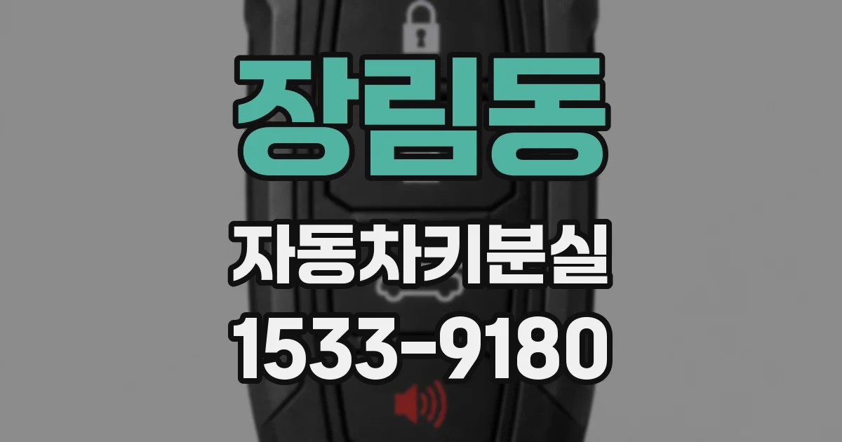 장림동 자동차키분실