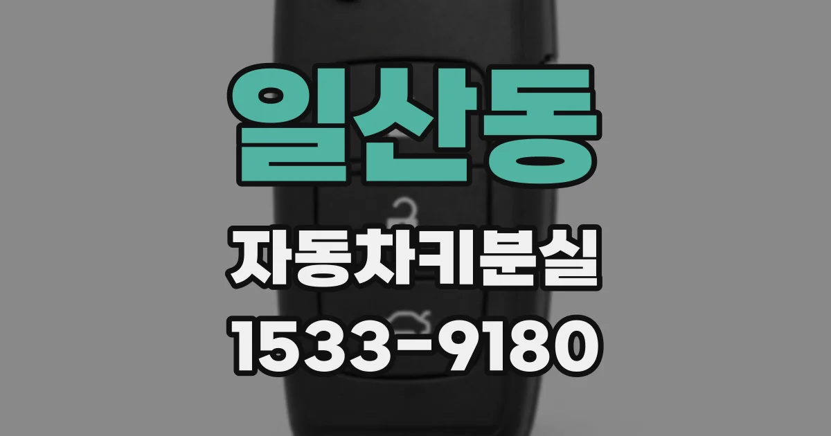 일산동 자동차키분실