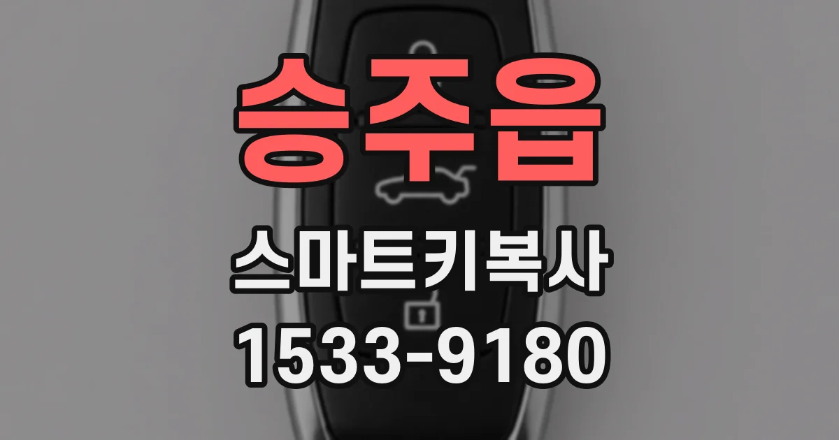 승주읍 스마트키복사