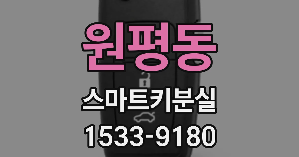 원평동 스마트키분실