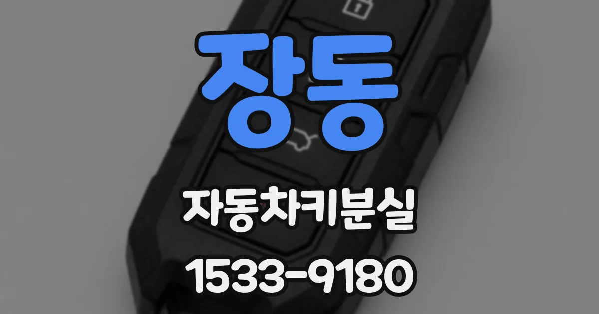 장동 자동차키분실