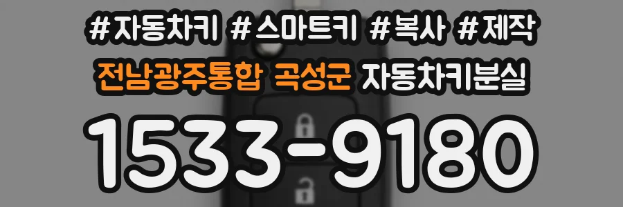 전남광주통합 곡성군 자동차키분실