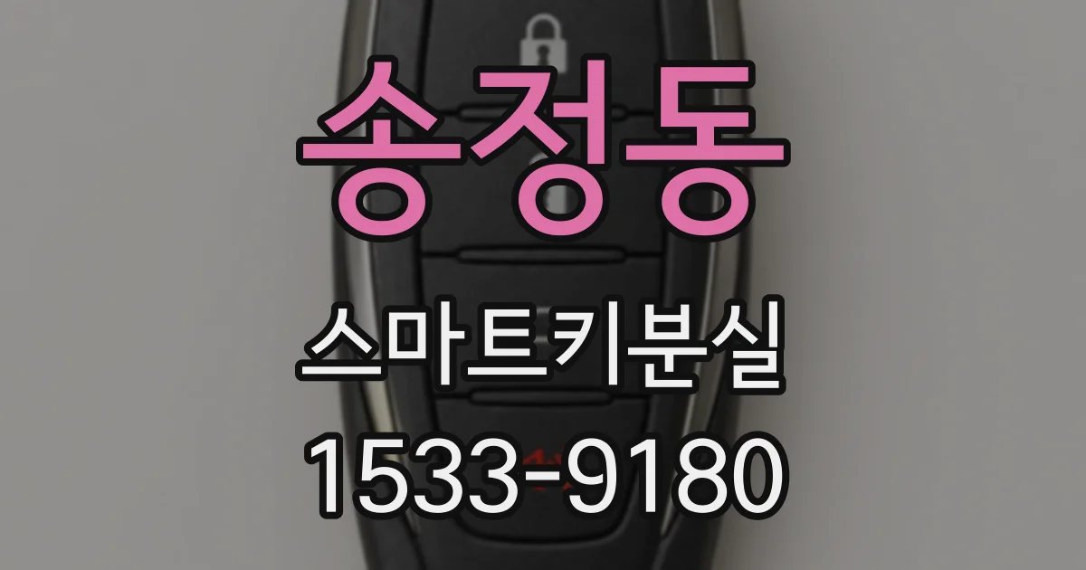 송정동 스마트키분실