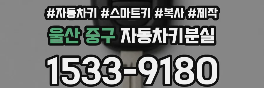 울산 중구 자동차키분실