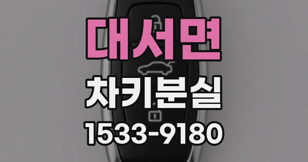 대서면 차키분실
