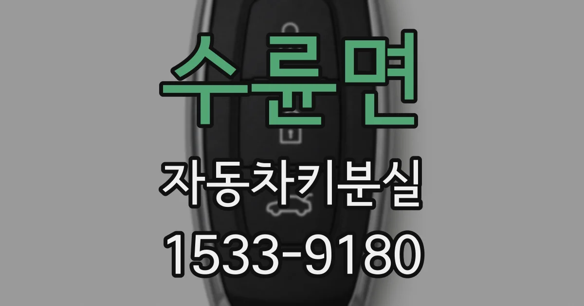 수륜면 자동차키분실