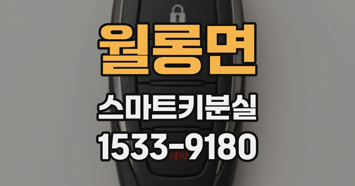 월롱면 스마트키분실