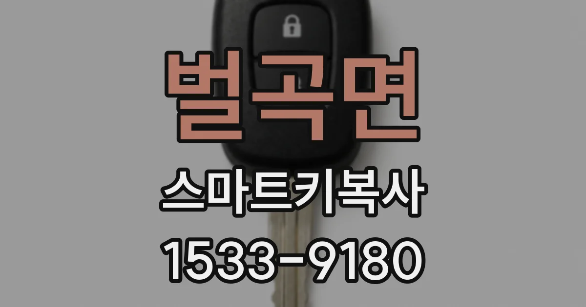 벌곡면 스마트키복사