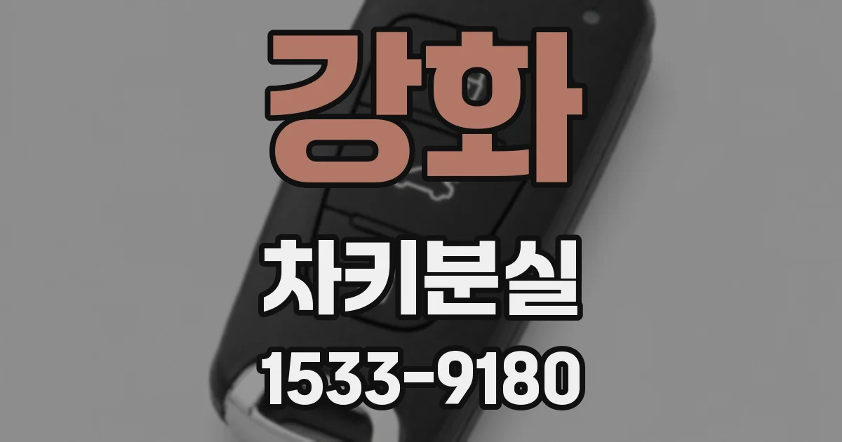 강화 차키분실