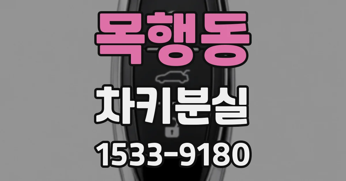 목행동 차키분실