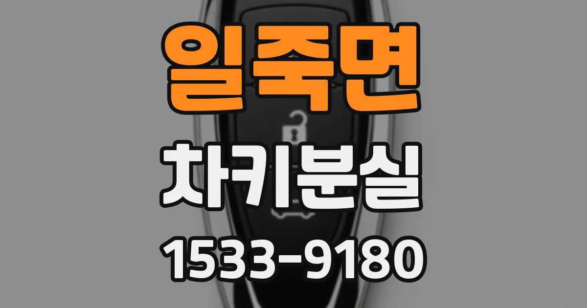 일죽면 차키분실