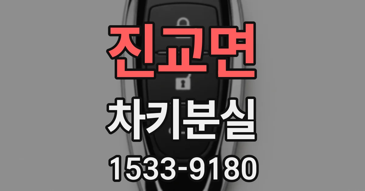 진교면 차키분실