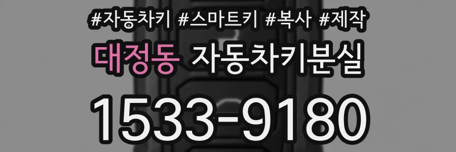 대정동 자동차키분실