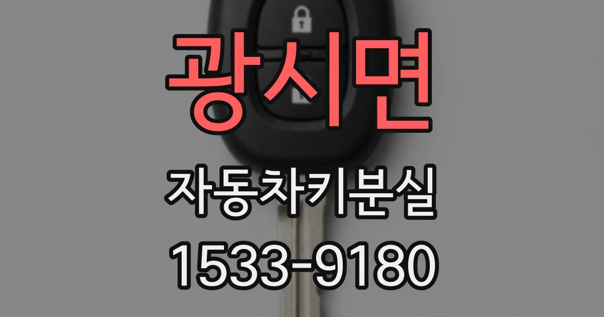광시면 자동차키분실