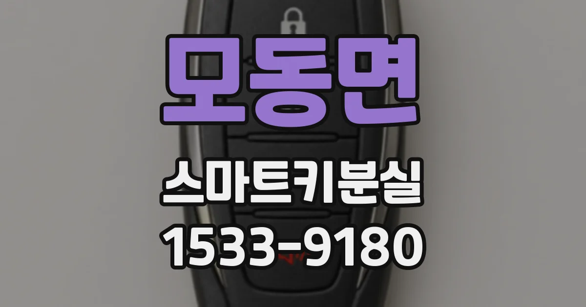 모동면 스마트키분실