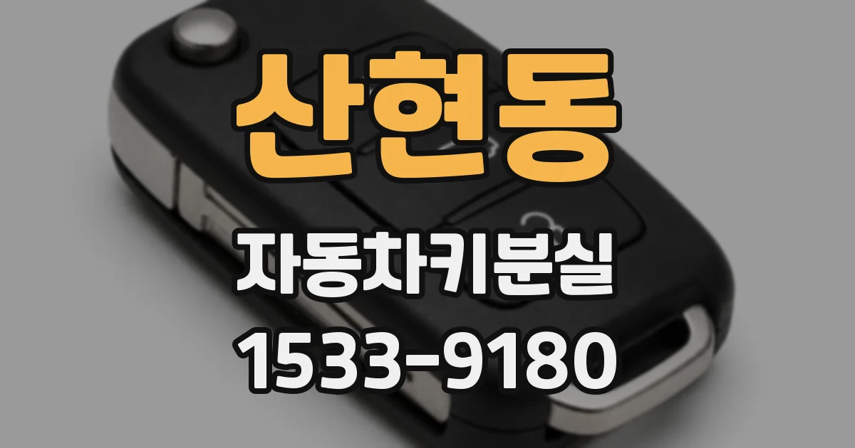 산현동 자동차키분실