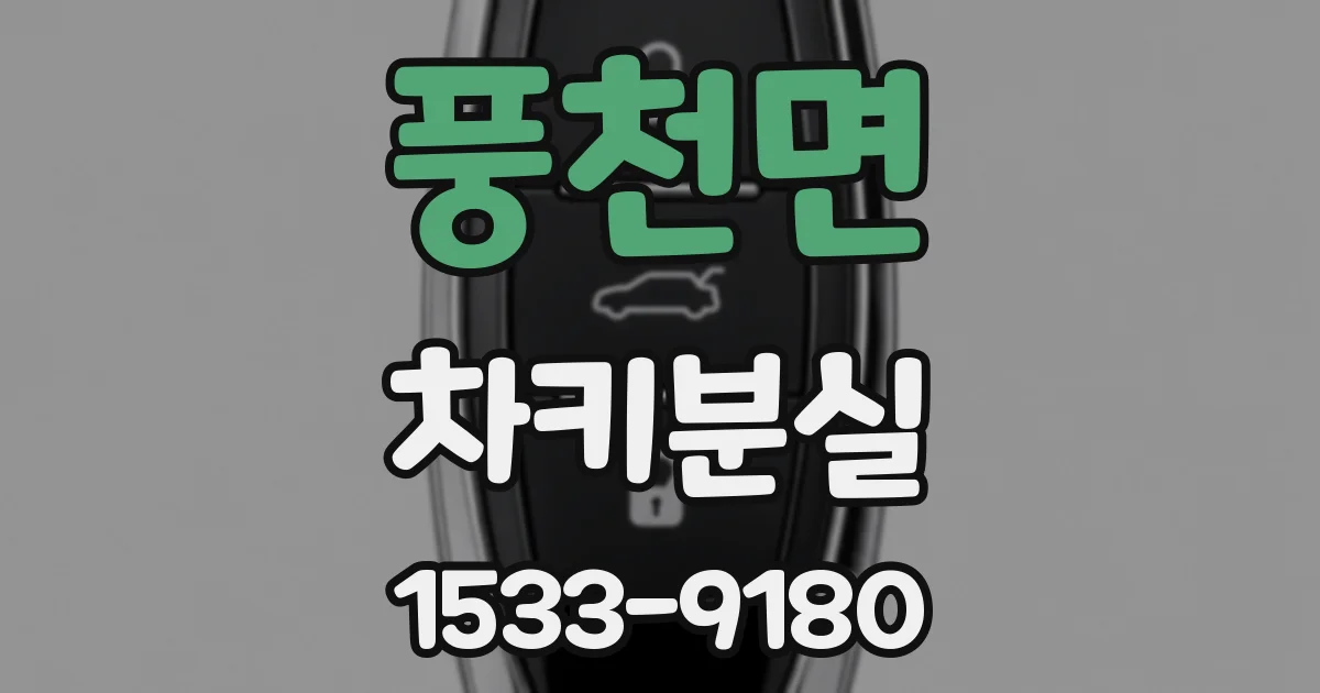 풍천면 차키분실