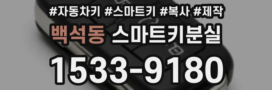 백석동 스마트키분실