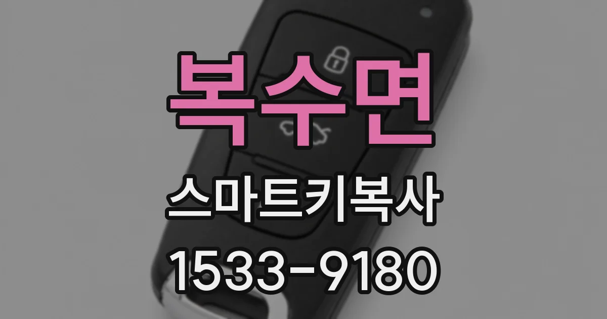 복수면 스마트키복사