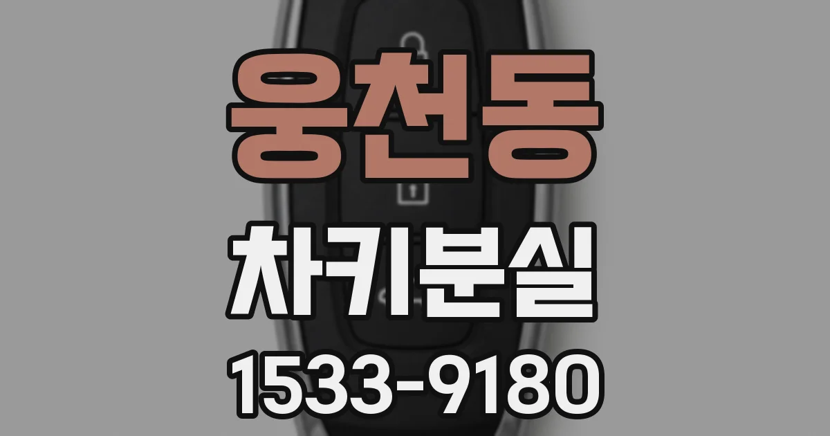 웅천동 차키분실