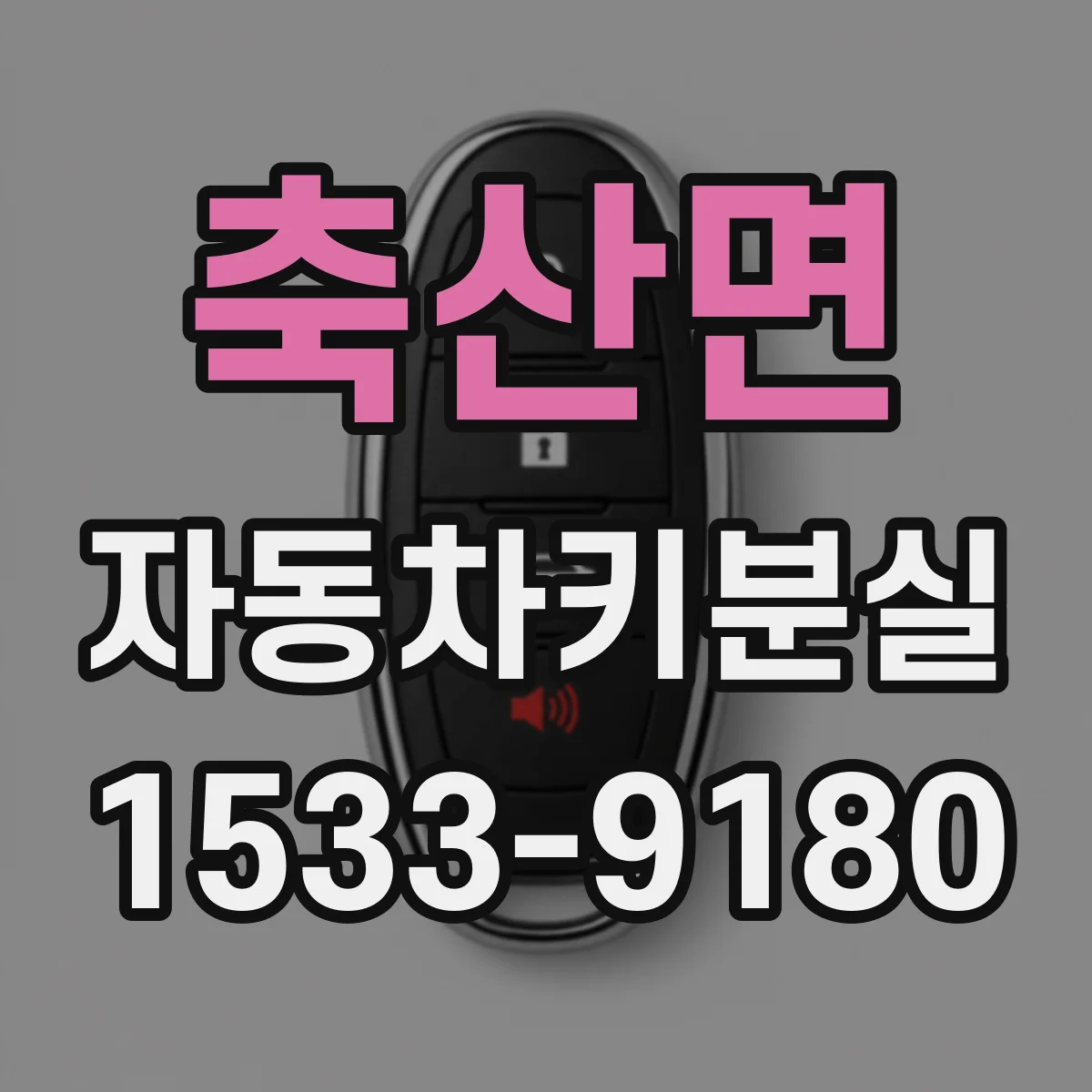 축산면 자동차키분실