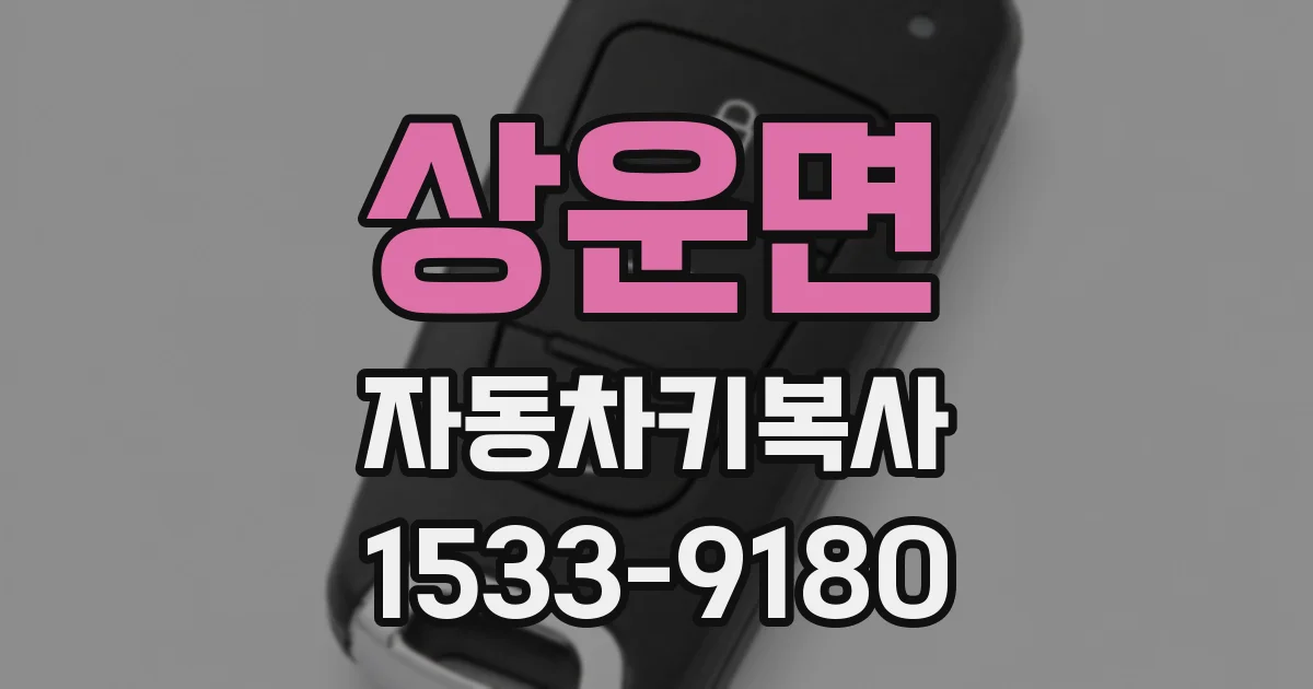 상운면 자동차키복사