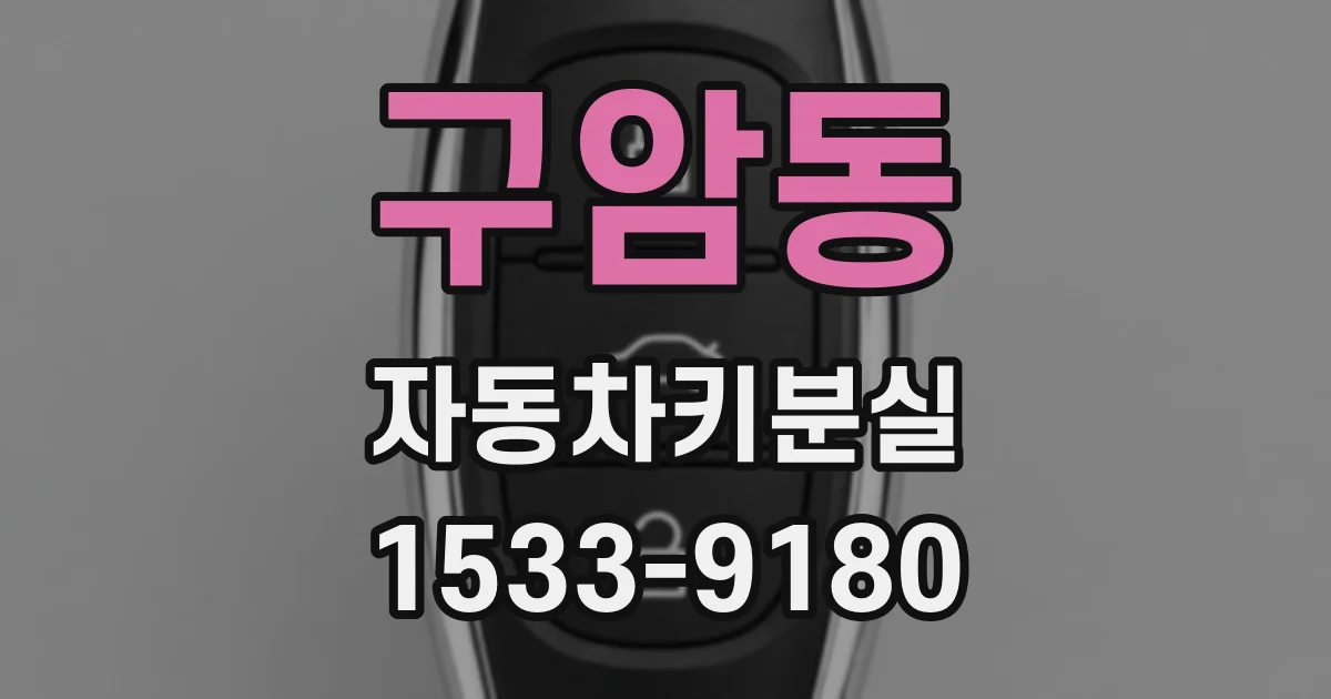 구암동 자동차키분실