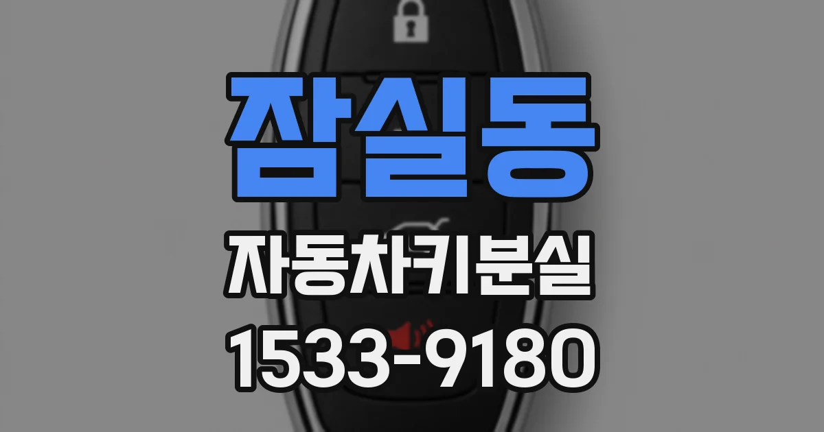 잠실동 자동차키분실