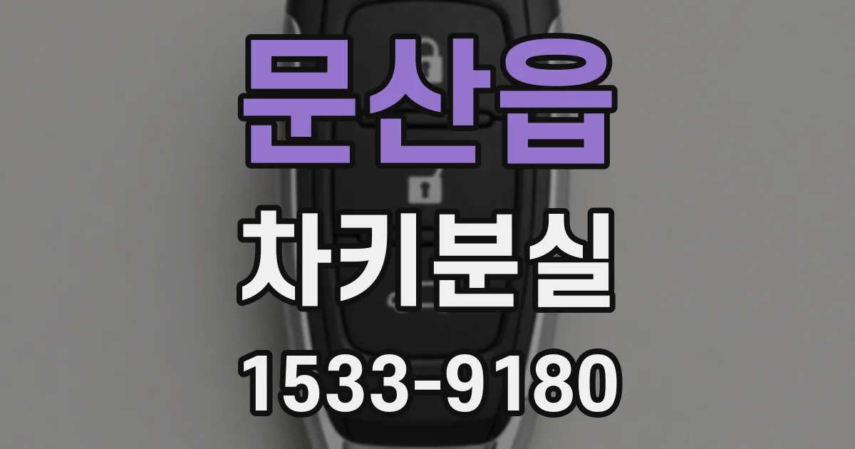 문산읍 차키분실